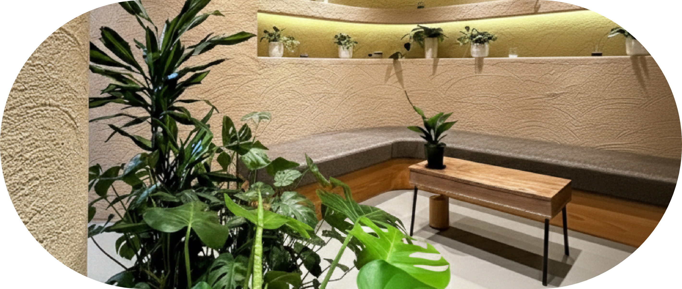 整体マッサージ　どらごん